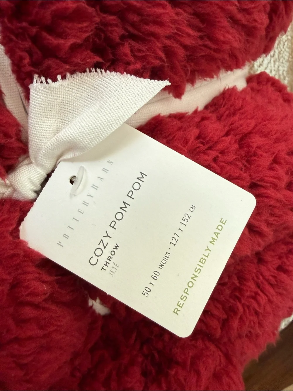 Pottery Barn Cozy Pom Pom Throw